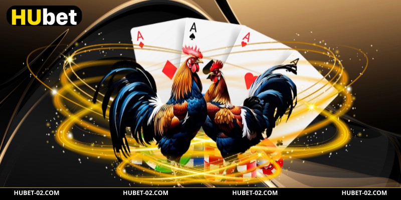 Những loại hình đá gà phổ biến tại sảnh