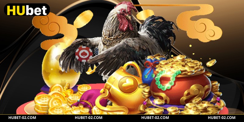 Phân tích đặc tính gà khi chọn kèo tại HUBET